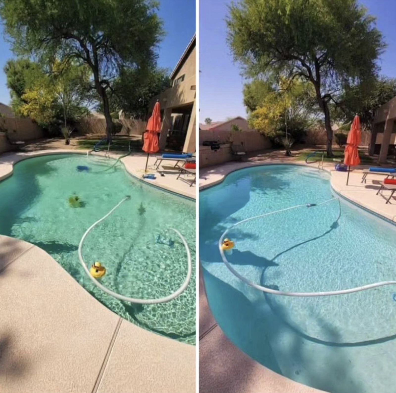 Pool Butler before and after — pool transformation