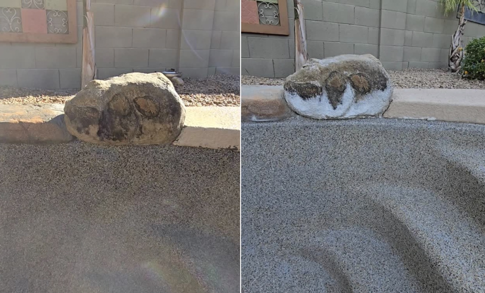 Pool Butler before and after — pool restoration