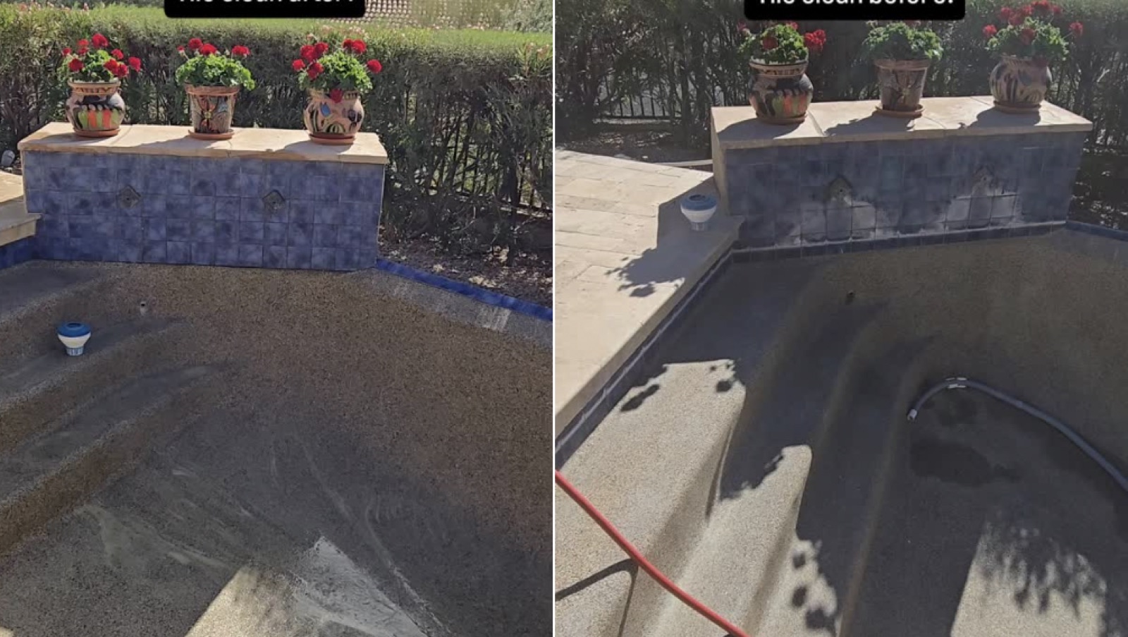 Pool Butler before and after — pool cleanup