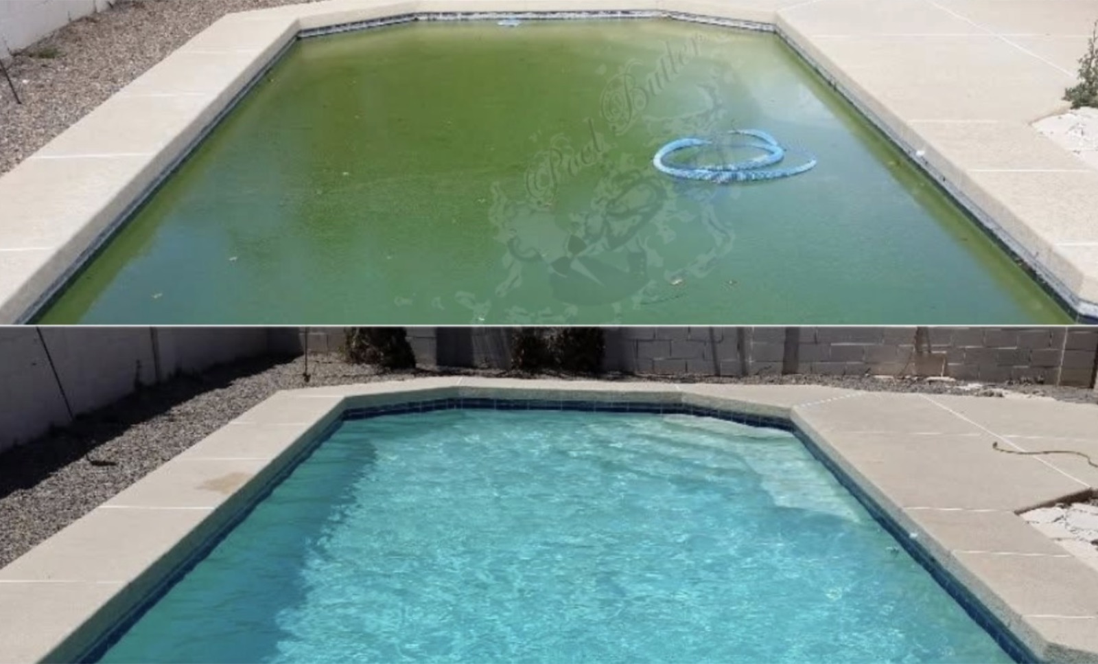 Pool Butler before and after — pool transformation