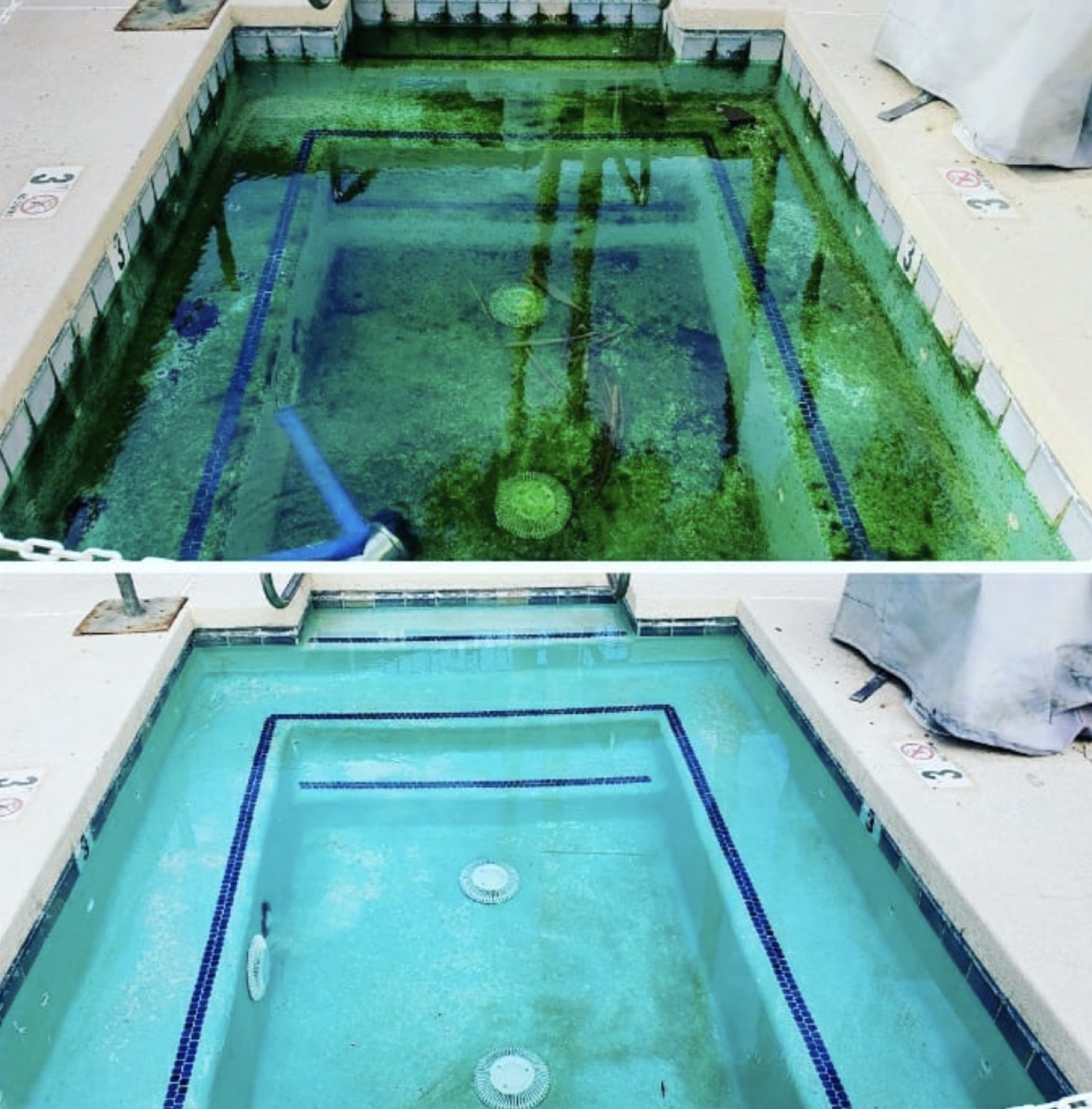 Green to clean pool service Glendale